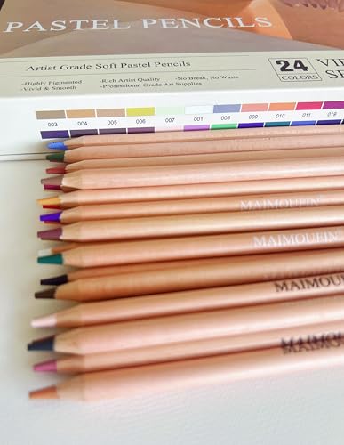 Soft Pastel Pencils 24 Colors Vibrant Drawing Pencil Set Professional Grade Pastels Art Supplies for Drawing Sketching Coloring (Not Oil-Based)(Brown) - color: Brown