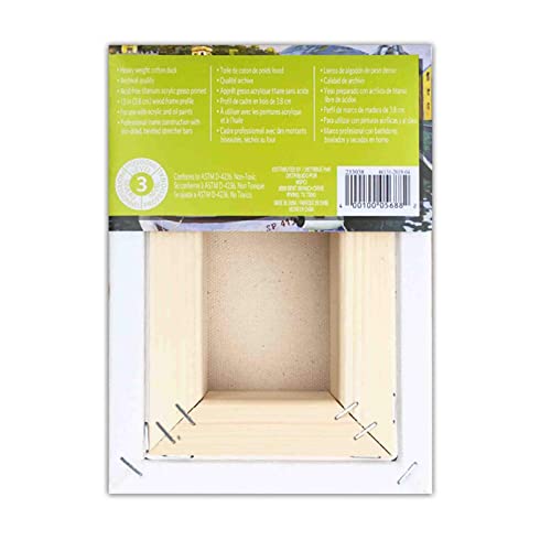 Artist's Loft 5" x 7" Level 3 Gallery Wrapped Heavy Duty Canvas - Archival, Acid Free Cotton Canvas for Paint, Acrylic, & Oils - Bulk 12 Pack - size: 5\ x 7\