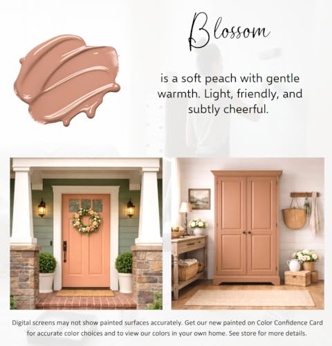 ALL-IN-ONE Paint by Heirloom Traditions, Blossom (Soft Peach), 8oz Sample - Durable cabinet and furniture paint. Built in primer and top coat, no sanding needed. Includes our 30 featured color card. - color: Blossom, size: 8 Fl Oz (Pack of 1)