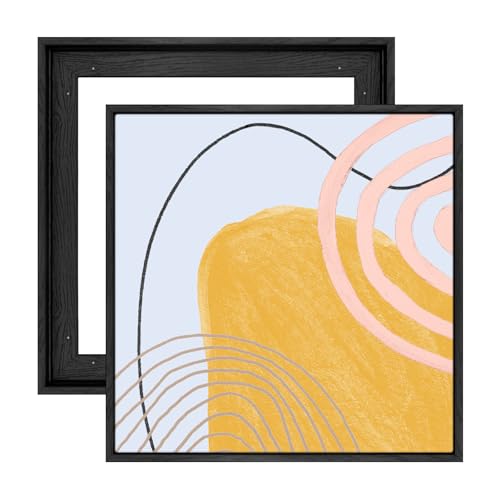 Floater Frame for 6x6 Canvas Paintings with 0.6-0.8” Deep, 2 Pack Square Canvas Floating Frame for Oil Paintings Art Prints Artwork, Horizontal or Vertical Display (Black) - color: Black, size: 6x6"