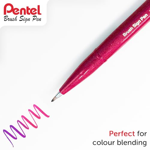 Pentel Brush Sign Pen Gift Set of 36 Pens - SES15C - Flexible Brush Nib - Ideal for Beginners & Professionals - Graphics, Illustrations, Calligraphy - In Wallet Gift Set Packaging