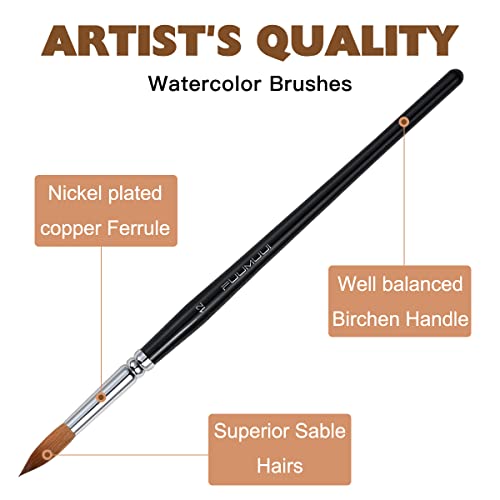Watercolor Brushes Professional, Fuumuui 8Pcs Sable Paint Brush Set Variety Shapes with Flat, Round Pointed, Cat's Tongue Oval Wash Perfect for Watercolor Acrylic Gouache Inks Painting - color: Black