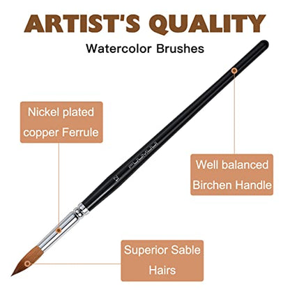 Watercolor Brushes Professional, Fuumuui 8Pcs Sable Paint Brush Set Variety Shapes with Flat, Round Pointed, Cat's Tongue Oval Wash Perfect for Watercolor Acrylic Gouache Inks Painting - color: Black