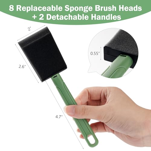 Foam Paint Brushes, 2 Inch, Sponge Paint Brush, Paint Sponges, Detachable Handles, Sponge Brushes Set, Light and Durable, Poly Foam Brushes for Painting, Staining, Varnishing and Art Crafts - size: 2 inch, 8 pack