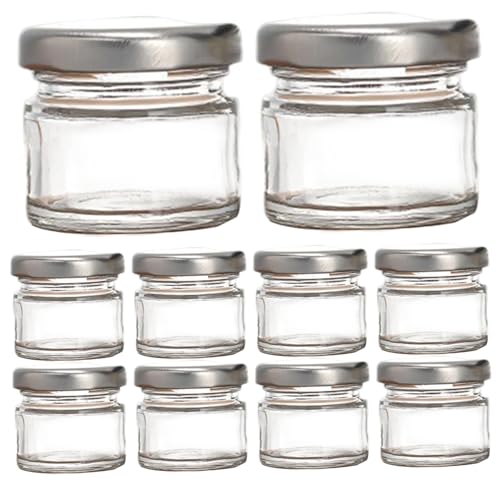 Ink Well for Dip Pen 10Pcs Inkwell Sealed Mini Glass Bottles 25ml Clear Ink Bottle Containers with Screw Lids for Oblique Nib Holder Stand Empty Dip Pen Well Jars