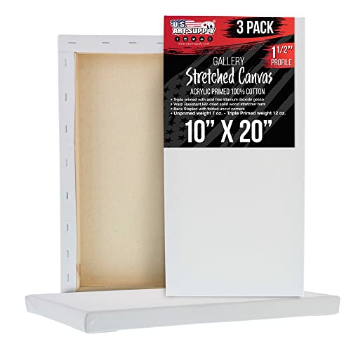 U.S. Art Supply Rectangle Stretched Canvas for Painting 10x20 inch Gallery Depth 1-1/2" Thick, 3-Pack - 12oz Acrylic Gesso Triple Primed, Professional Artist Quality, 100% Cotton - Oil, Pouring Paint - size: 10" x 20"