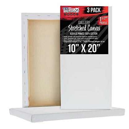 U.S. Art Supply Rectangle Stretched Canvas for Painting 10x20 inch Gallery Depth 1-1/2" Thick, 3-Pack - 12oz Acrylic Gesso Triple Primed, Professional Artist Quality, 100% Cotton - Oil, Pouring Paint - size: 10" x 20"