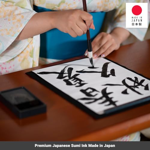 JapanBargain 1980 Japanese Sumi Ink, Deep Black Calligraphy and Brush Painting Ink, 6 fl.oz (180cc) Artist-Grade India Ink, Made in Japan, 2 Pack