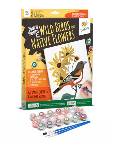 CraftLab Painting Kit - Acrylic Paint by Numbers, Brushes, Canvas, Oriole & Black Eyed Susans - color: Oriole & Black Eyed Susans