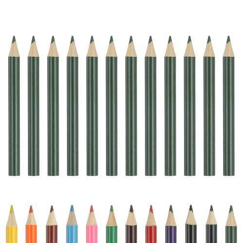 PATIKIL Colored Pencils, Middle Green Color Cute Drawing Pencils with Oil-Based Cores Art Scrapbook Supplies for Adult Coloring Books Artists Beginners Drawing Sketching, 12 Pcs - color: Middle Green