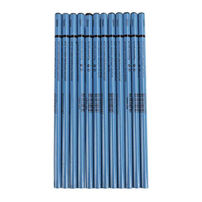 12pcs Hard Charcoal Pencil Set for Drawing,Sketching, Shading,Black Graphite Pencil Sticks,Birthday Gift for Artist, Hobbyist,Beginner - color: 12pcs*Hard