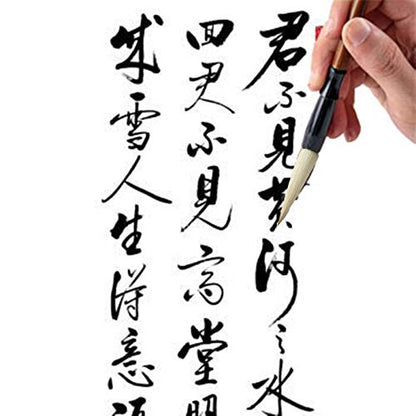 Befiy Chinese Calligraphy Brush, Writing Drawing Watercolor Ink Brushes Hubi Painting Kanji Sumi Wolf Bamboo Brushes Set for Professional Beginner (White) - color: White