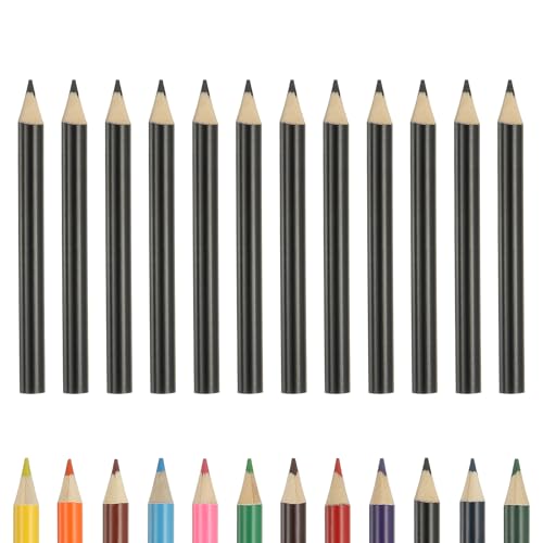 PATIKIL Colored Pencils, Black Color Cute Drawing Pencils with Oil-Based Cores Art Scrapbook Supplies for Adult Coloring Books Artists Beginners Drawing Sketching, 12 Pcs - color: Black
