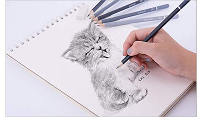 BXT 8pcs Wood Charcoal Pencil Set - Drawing Writing Pencil 8B 6B 4B 2B HB 2H, Art Eraser and Mini Manual Pencil Sharpener, Gift for Artist, Hobbyist,Beginner - color: 8pcs