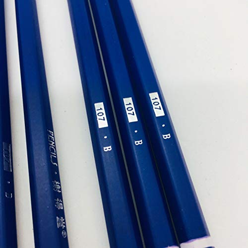 XDT#B Drawing Pencils 24 Piece Set, Pro Art Graphite Sketching&Shading Supplies, Ideal For Kid Beginner Student Adults Artist - color: B 29 Pc Set