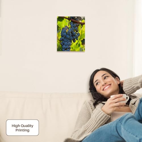 3dRose China, Xinjiang, Xinjiang Uyghur, Manas. Cabernet sauvignon grapes. Museum Grade Canvas Wrap 8x10 - size: 8"L x 10"W