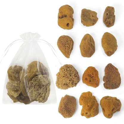 Natural Sea & Synthetic Sponges - Assorted Sizes 12pc Value Pack for Crafts & Artists: Multi - Purpose Art Supply for Professional Painting, Ceramics, Clay & Pottery Projects (12)