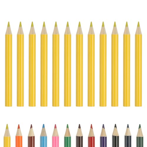 PATIKIL Colored Pencils, Lemon Yellow Color Cute Drawing Pencils with Oil-Based Cores Art Scrapbook Supplies for Adult Coloring Books Artists Beginners Drawing Sketching, 12 Pcs - color: Lemon Yellow