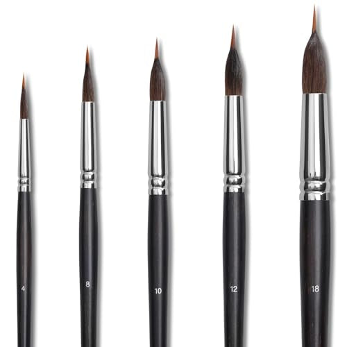 Dancart 5 PCS Watercolor Brushes for Detail Painting, Natural & Mink Hair Blend, Round Pointed Tips, Birch Wood Handle (#4/8/10/12/18) (Black) - color: Black
