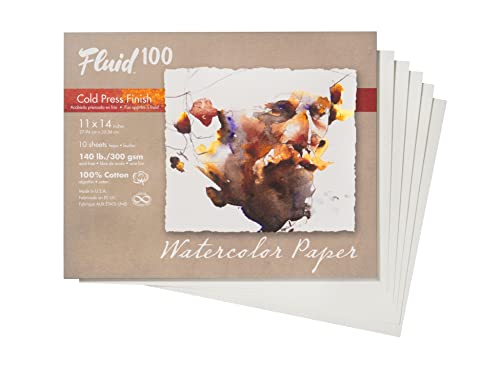 Fluid 100 Watercolor Paper, 11 x 14 Pochette, 10 Sheets, 140 lb (300 GSM) 100% Cotton Cold Press for Artist Painting and Wet Media - size: 11 x 14 (140 lb)