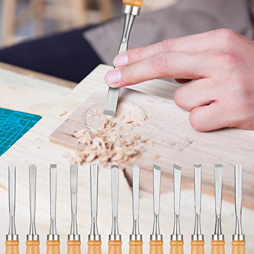 Calary 24Pcs Wood Carving Chisel Set - Kit Including Small and Large Size Wood Carver Set