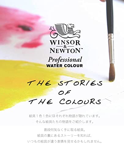 Windsor & Newton Artists Water 5ML Tube 12C Set (Japan Import) - color: 12 colors
