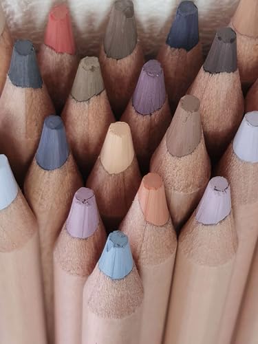 Soft Pastel Pencils 24 Colors Grey Tone Drawing Pencil Set Professional Grade Pastels Art Supplies for Drawing Sketching Coloring(Not Oil-Based) (Grey) - color: Grey