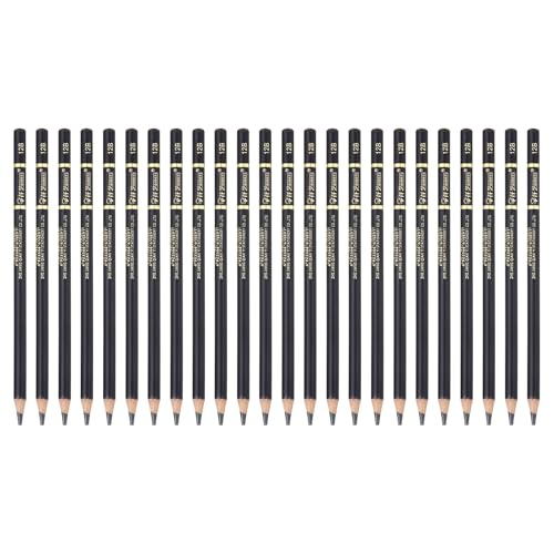 PATIKIL 24Pcs Drawing Pencils for Sketching, 12B Refill Sketch Pencils for Drawing, Graphite Art Pencil Set Professional Resistant Lead for Painting Shading Artist Office Supplies - size: 12B