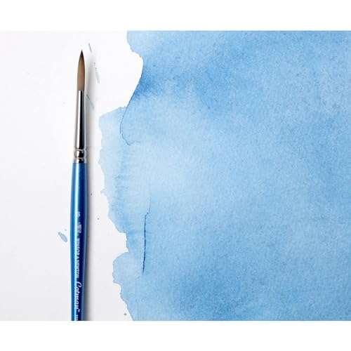 Winsor & Newton Cotman Short Handle Brushes, Set of 4, (Round 1, 4, & 6, One Stroke 3/8") - size: Set of 4, style: Round 1, 4, & 6, One Stroke 3/8"