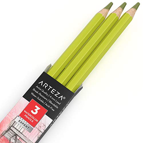 Arteza Professional Watercolor Pencils, Pack of 3, A603 Pear Green, Water-Soluble Pencils for Coloring, Blending, Layering & Watercolor Techniques - color: A603 Pear Green, size: 1 Count (Pack of 3)