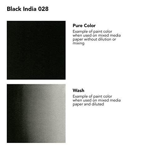 Daler-Rowney FW Acrylic Artists Ink, 180ml/6oz Plastic Bottle, India Ink (D160181028) - size: 6.1 fl oz