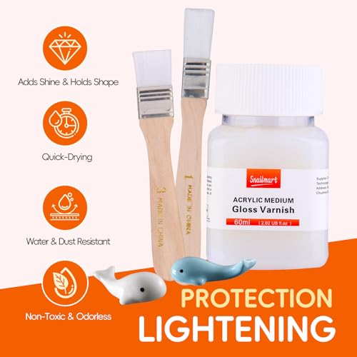 Gloss Varnish for Acrylic Painting, 180ml/6.1oz Acrylic Varnish Kit with 2 Brushes – Non-Yellowing, Non-Toxic, Anti-Crazing Clear Varnish for Canvas Artwork, Wood, Acrylic Paintings