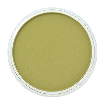 PanPastel Ultra Soft Artist Pastel, Bright Yellow Green Shade - color: Bright Yellow Green Shade, size: 1 Count (Pack of 1)