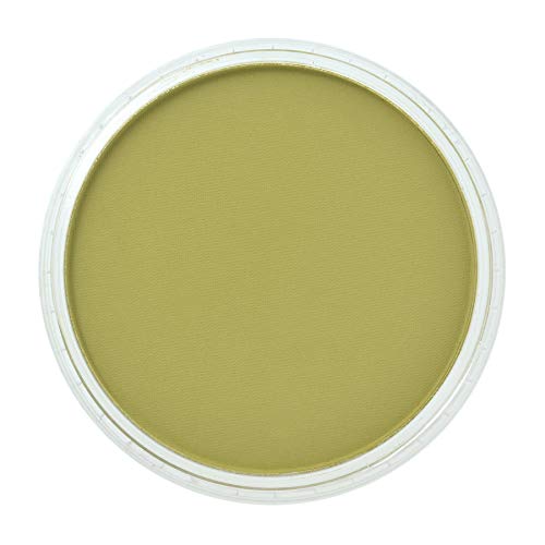 PanPastel Ultra Soft Artist Pastel, Bright Yellow Green Shade - color: Bright Yellow Green Shade, size: 1 Count (Pack of 1)