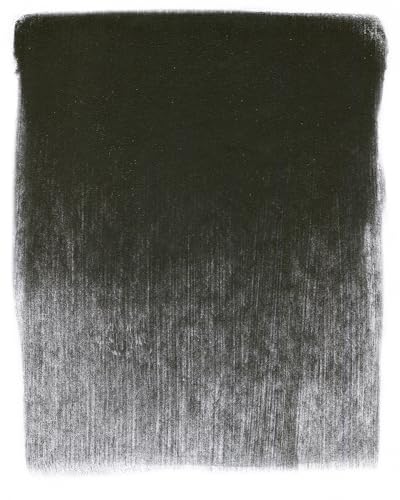 PanPastel Artist Pastels by GOLDEN, Neutral Gray Extra Dark 1, 2.44” / 62mm Pan Diameter, Professional Artist Pastels, Unique Pan Format (cake-like) - color: Neutral Gray Extra Dark 1, size: 1 Count (Pack of 1)
