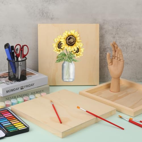 6 Pack 12 x 12 Inch Unfinished Wood Panels, Wooden Panel Boards for Painting, Crafts, and Home Decor - size: 6 Pack 12 x 12 Inch