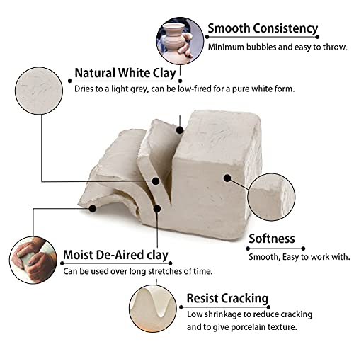 Old Potters Low Fire Pottery Clay White, 10 lbs (Cones 06-04) Made in USA Modeling Clay for Wheel Throwing and Hand Building, Pottery and Sculpting, Beginners, and Advanced - color: White