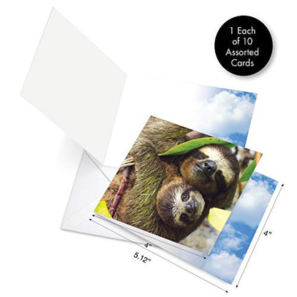 The Best Card Company - 10 Adorable Note Cards Blank (4 x 5.12 Inch) - Wildlife and Animal Cards, Assorted Boxed Set - Mommy Dearest AMQ4961OCB-B1x10 - style: Mommy Dearest