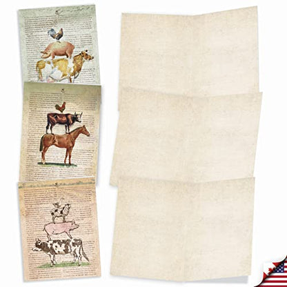 The Best Card Company - 10 Assorted Blank Note Cards Bulk Box Set 4 x 5.12 Inch with Envelopes (10 Designs, 1 Each) Boxed Assorted Kid Cards of Pets - FARM STAND M6595OCB - style: Farm Stand