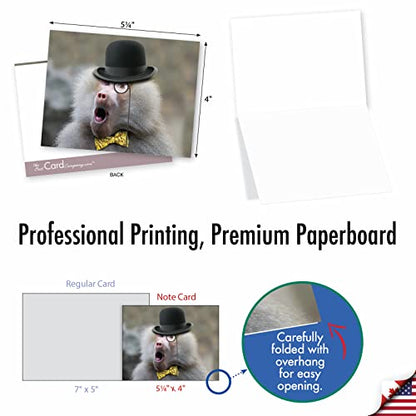 The Best Card Company - 10 Adorable Note Cards Blank (4 x 5.12 Inch) - Wildlife and Animal, Assorted Boxed Set - Capped Creatures M6470OCB - style: Capped Creatures