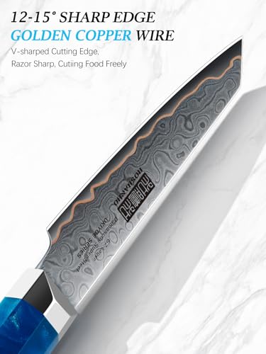 HOSHANHO Damascus Paring Knife 4 Inch, 67-Layer Damascus Steel Professional Small Kitchen Knives, Ultra Sharp Fruit Knife with Ergonomic Blue Resin Stabilized Wood Handle and Wood Gift Box - size: 4"