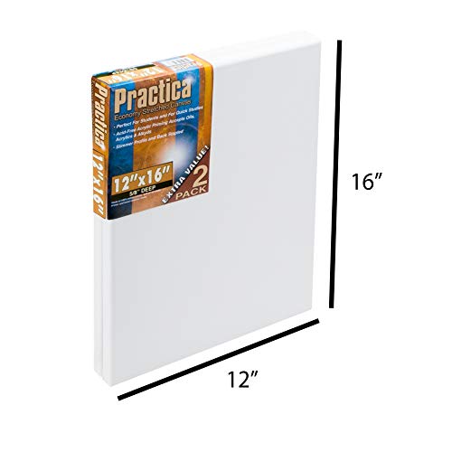 Practica Economy Stretched Cotton Canvas 20-Pack, 12x16 - Acid-Free Acrylic Primed Canvas for Acrylics, Pastels, Graphite, & More! - size: 12" x 16"