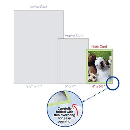 Best Card Co 10 Adorable Note Cards Blank (4 x 5.12 Inch) Wildlife and Animal Cards, Assorted Boxed Set Animal Selfies for Animal Lovers M2373OCB-NB - style: Animal Selfies