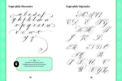 Creative Lettering and Beyond: Timeless Calligraphy: A collection of traditional calligraphic hands from history and how to write them (Creative...and Beyond)