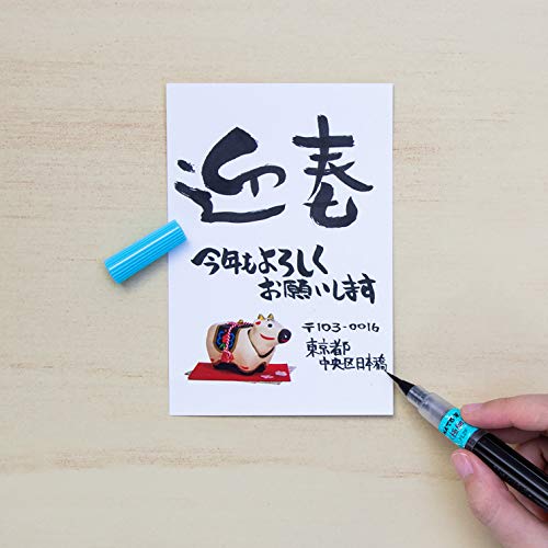 Pentel Fude Brush Pen, Extra Fine (XFL2F) - size: 1 Count (Pack of 1), style: Pen