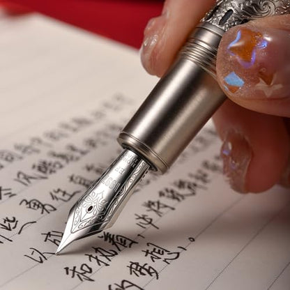 Hongdian 100 Silver Steel Piston Fountain Pen, Iridium Fine Nib Calligraphy, Smooth Writing Pens, Nice Writing Pen for Men & Women - color: Silver-100, style: Fine Point