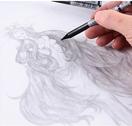Artist Charcoal Sticks 24 PCS Professional Manga Sketch Drawing Charcoal Pencil Black/Pencil drawing sketch pencil without wood (Whole Lead Core 4B)