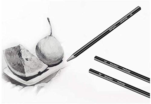 3pcs Woodless Sketch Charcoal Pencils Set - Professional 2H 2B 4B Graphite Charcoal Pencils for Drawing Sketching Shading Art Supplies for Artists Beginners - color: 3pcs #1