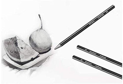 3pcs Woodless Sketch Charcoal Pencils Set - Professional 2H 2B 4B Graphite Charcoal Pencils for Drawing Sketching Shading Art Supplies for Artists Beginners - color: 3pcs #1