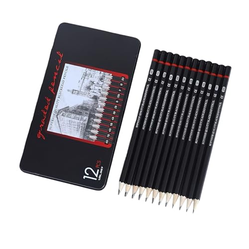 YYMIYU 12pcs Sketch Pencil Set 8B, 7B, 6B, 5B, 4B, 3B, 2B, B, HB, F, H, 2H, Ideal For Drawing Art, Sketching, Shading, Artist Pencils For Beginners & Pro Art - style: 12 Drawing Pencils Set